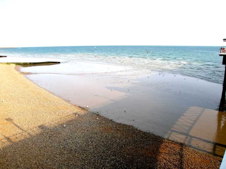 Shingle beach at low tide, Brighton, Sussex