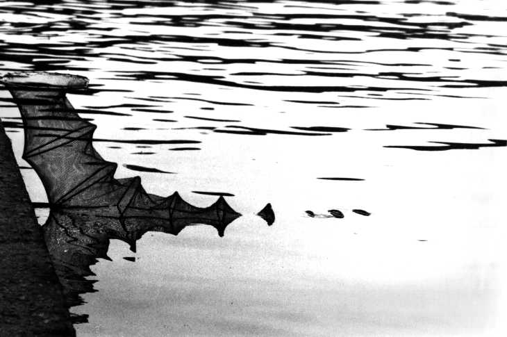 Black & white photograph. The keep net