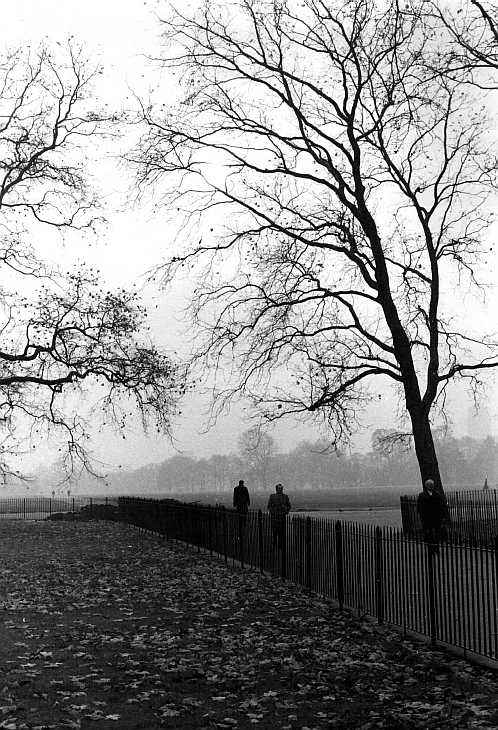 Winter morning, Hyde Park, London. Black & white photograph