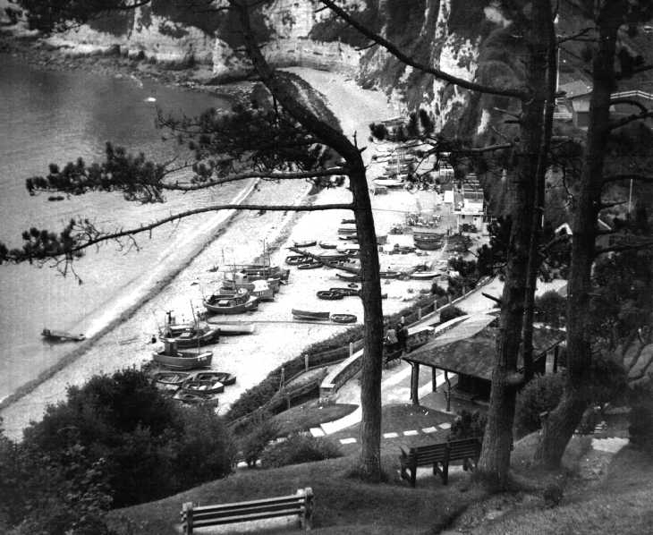 Beach, boats, and trees, Devon. Black & white photograph
