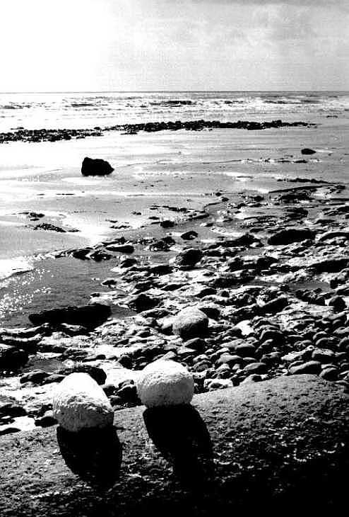 Stones on the beach at Birling Gap, Sussex