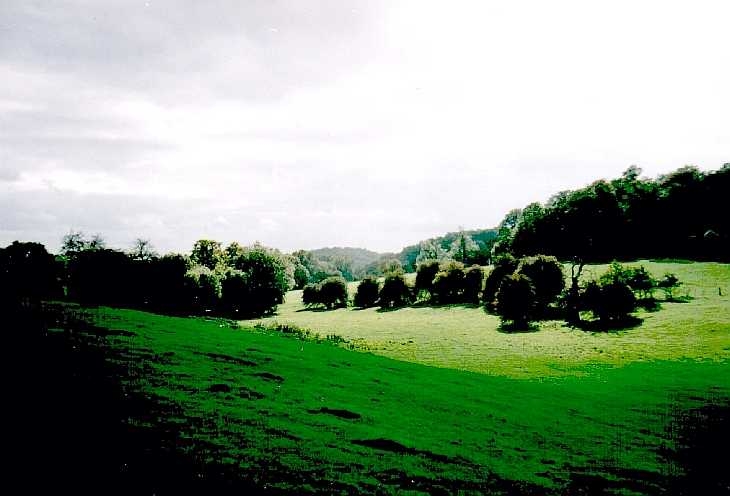 Landscape view, Benington Gardens, Hertfordshire