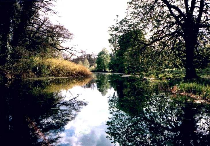 Digswell Lake, Hertfordshire