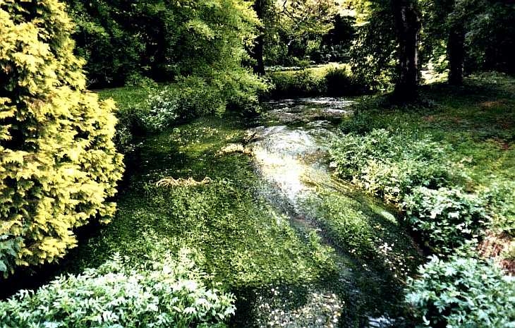 River at Archers Green, Hertfordshire