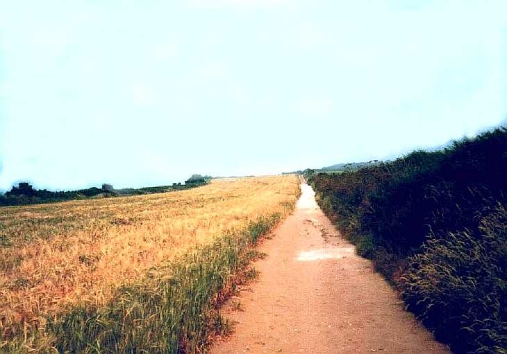 Coastal path at Swanage, Dorset, south coast