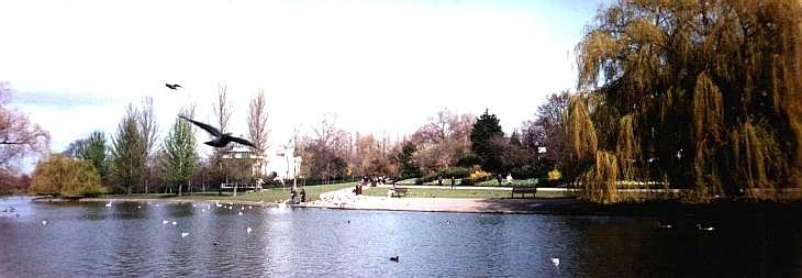The Lake, Regent's Park, London