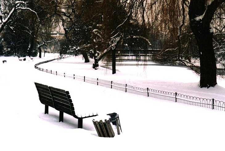 Bench and snow, Regent's Park, London