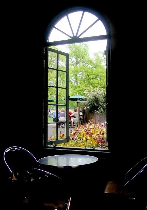 Cafe window, Greenwich Park, London