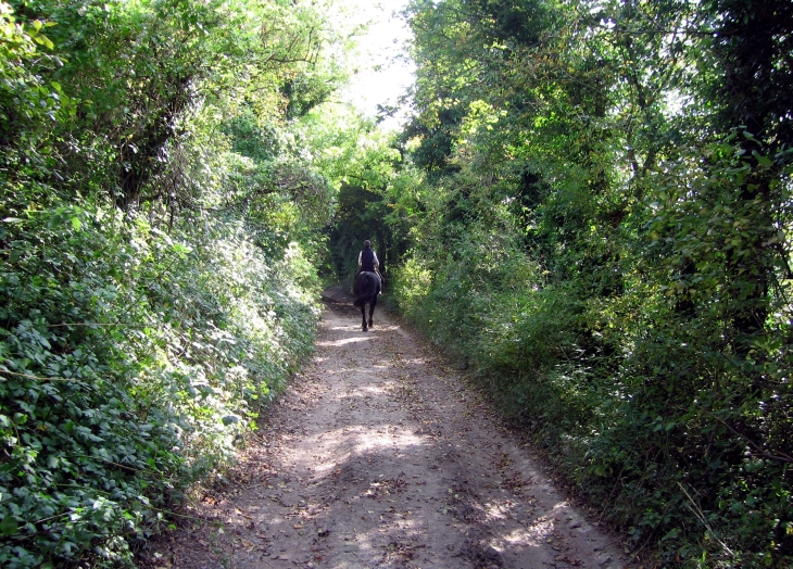 Country lane and horse rider, West Sussex
