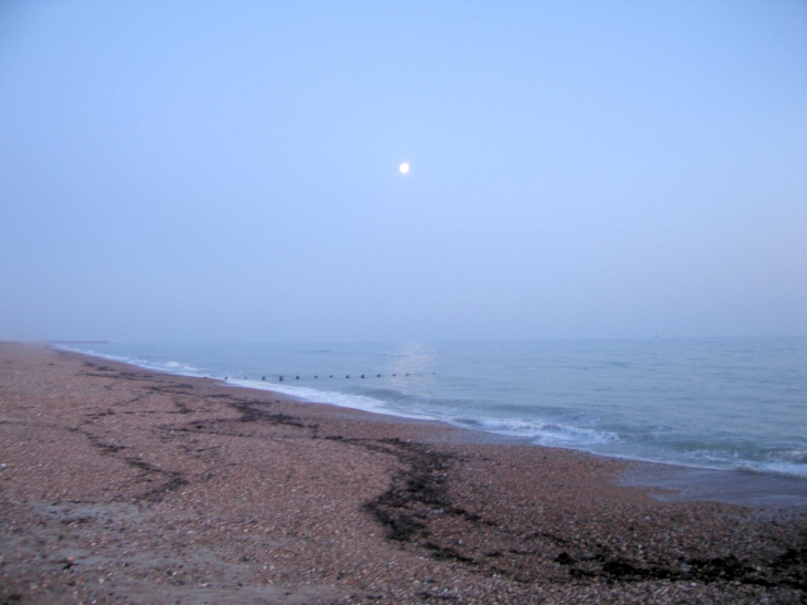 The beach at night, with moon