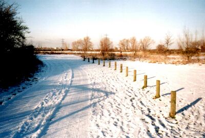 London, Walthamstow Marshes, Lea Valley, in snow