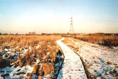 London, Lea Valley, Walthamstow Marshes in snow