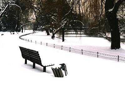 Bench, London, Regent's Park in snow