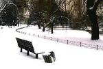 Regent's Park under snow
