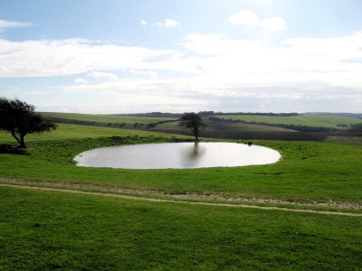 Dew pond and trees on the South Downs